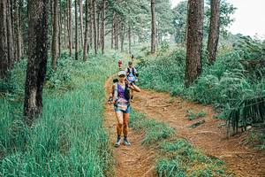 BIB: 
                            <button type="button" onclick="openModal(25661014)" class="btn btn-primary btn-sm float-right btn-popup" data-toggle="modal" data-target=".modal-high-quality">
                        <i class="fas fa-shopping-cart"></i> Add to Cart
                    </button>
                                            <button type="button" onclick="isThisMe(25661014, true)" class="btn btn-success btn-sm float-right btn-popup btn-isme hidden" data-toggle="tooltip" data-placement="bottom" title="นี่คือรูปของคุณใช่ไหม คลิกที่นี่เพื่อเอาเข้าอัลบั้ม">
                        <i class="fas fa-plus"></i> Add to album
                    </button>
                    <button type="button" onclick="isThisMe(25661014, false)" class="btn btn-warning btn-sm float-right btn-popup btn-isnotme hidden">
                        <i class="fas fa-ban"></i> Remove from album
                    </button>